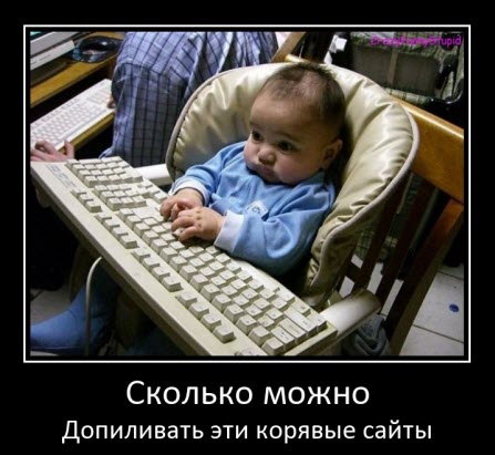 Молодой программист